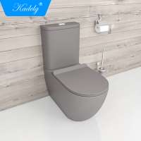 Matte colour two piece toilets for sale  sanitaryware toilet Washdown